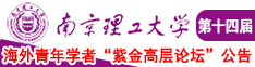 的意思美人阴处无衣的意思南京理工大学第十四届海外青年学者紫金论坛诚邀海内外英才！